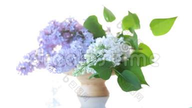 春天盛开的<strong>紫薇</strong>花束隔离在白色上